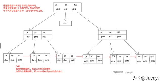 MySQL数据库之索引详解-mysql数据库的索引