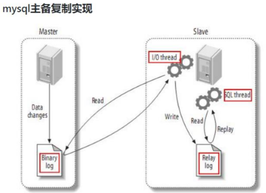 麻了，一个操作把MySQL主从复制整崩了-mysql 主从复制