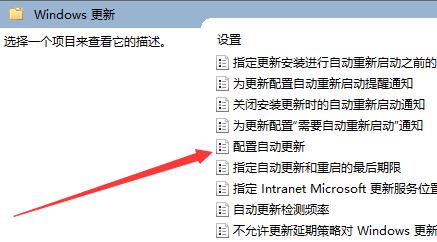 Win10如何永久关闭自动更新-win10如何永久关闭自动更新系统