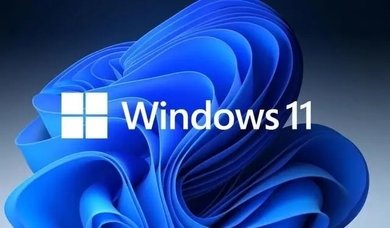 Win11快捷键失效怎么办-win11快捷键用不了